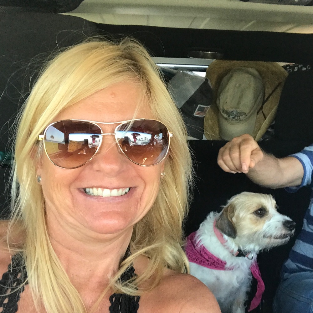 Meet your Posher, Jo dail